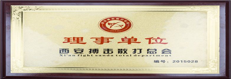西安搏擊散打總會理事單位/突出貢獻(xiàn)獎